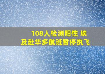 108人检测阳性 埃及赴华多航班暂停执飞